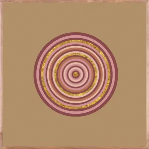 Berry Bullseye