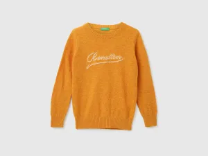 Boys Embroidered Logo Round Neck Sweater