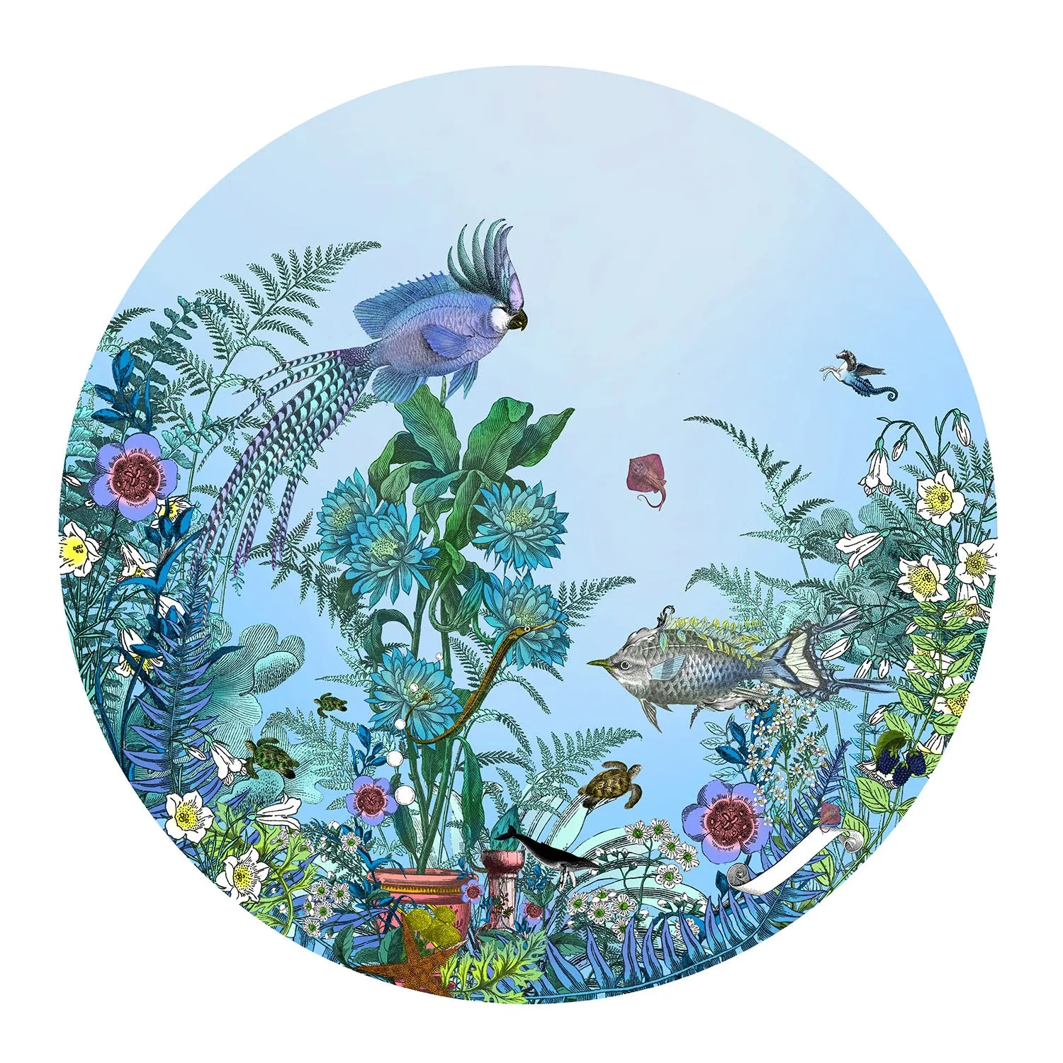 Circular Sea-born - Art Print Collection