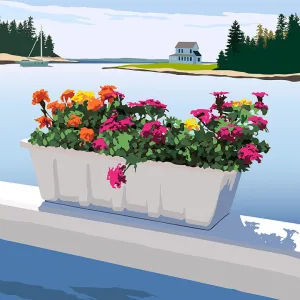 Cozy Harbor