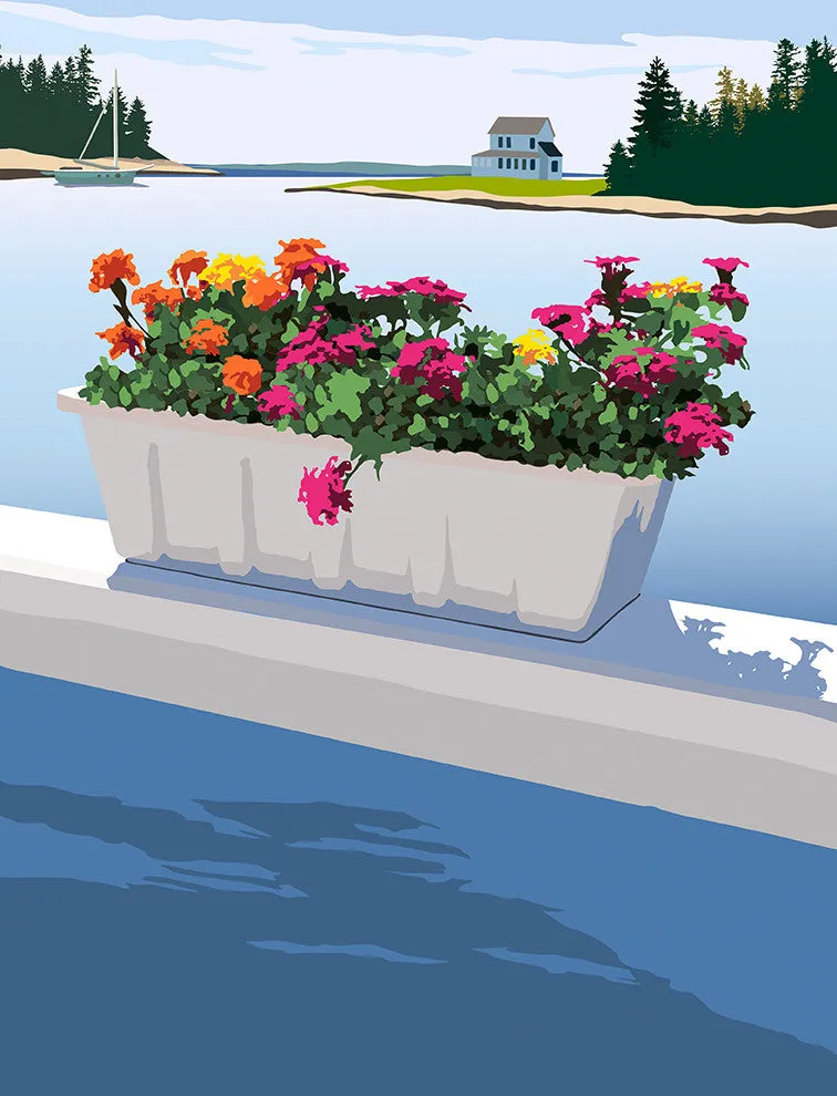 Cozy Harbor