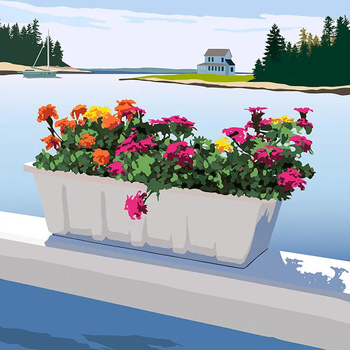 Cozy Harbor