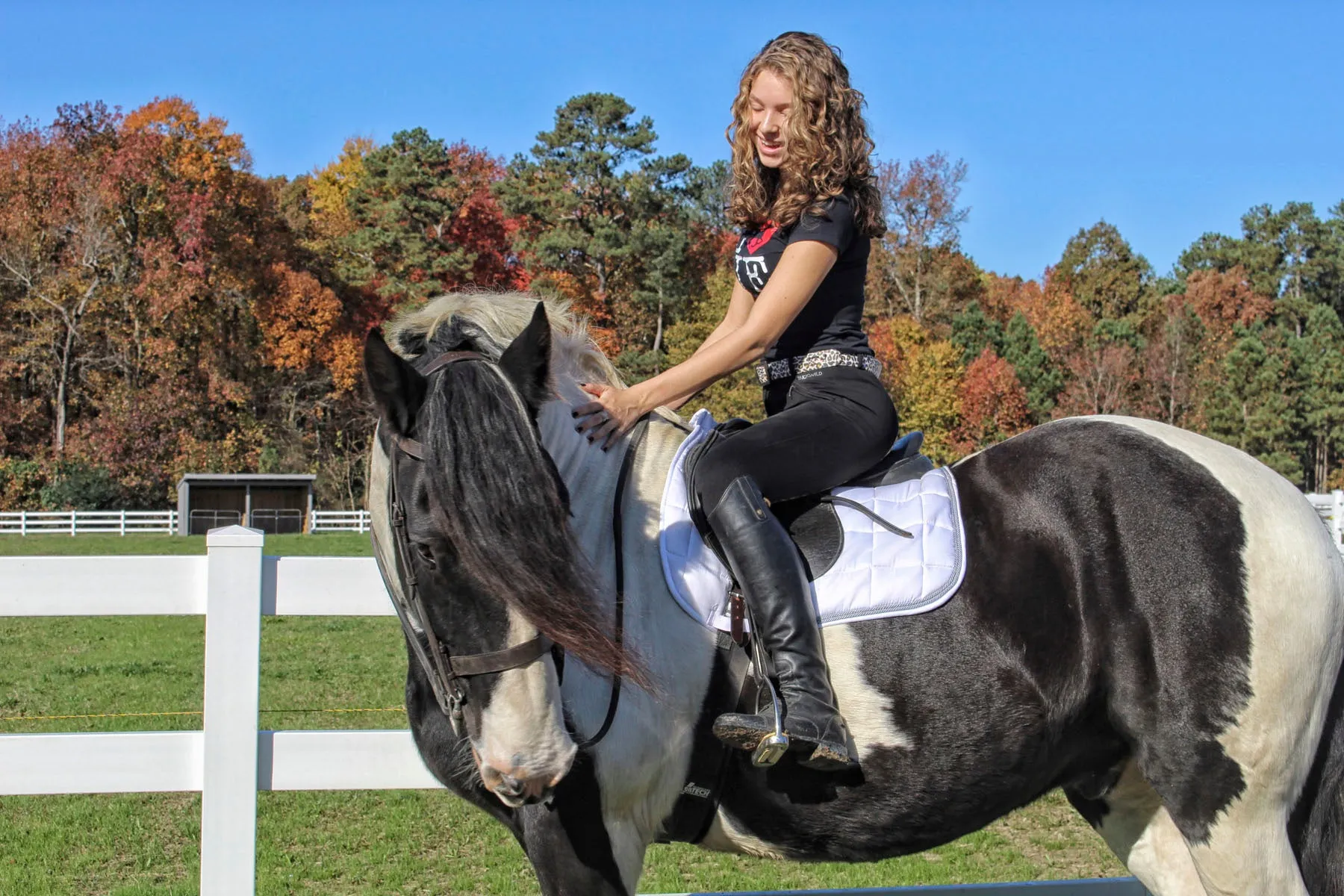Curvy Mare | High-Waist Breech | Black   Leopard | Side Phone Pocket