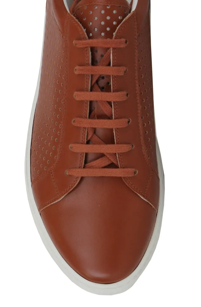 Kiton Brown  Sneakers