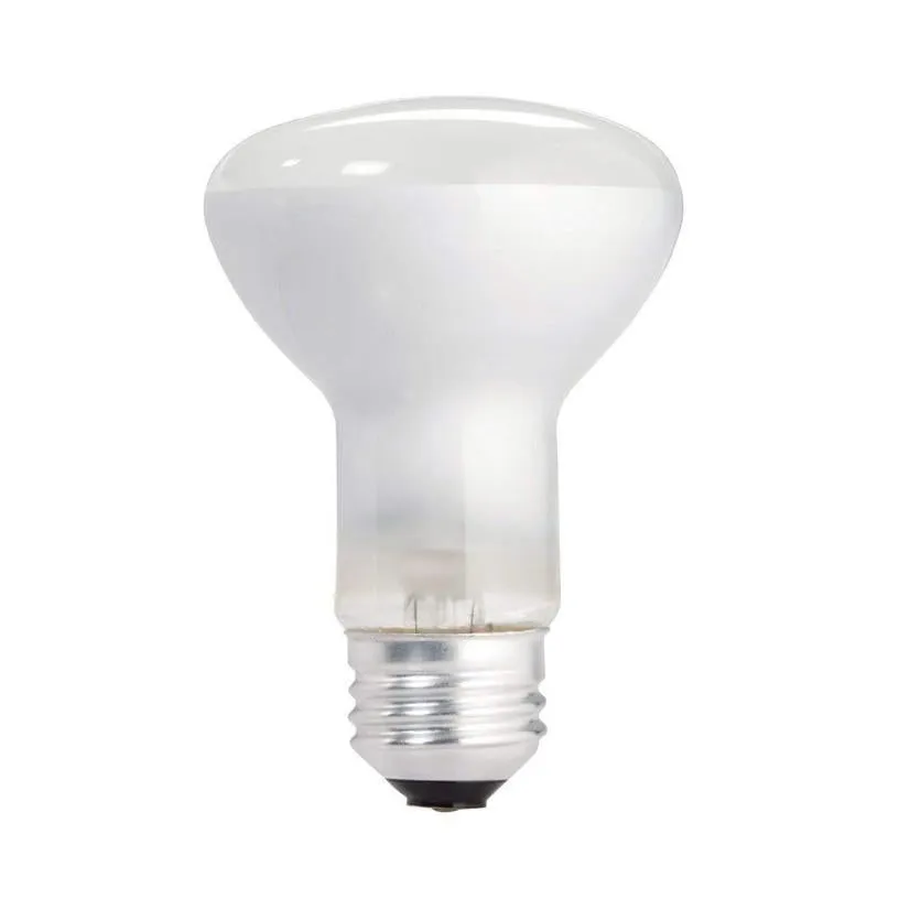 Light Bulb for #2404 and #2408