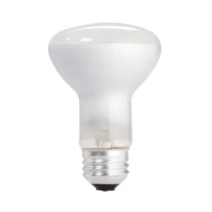 Light Bulb for #2404 and #2408