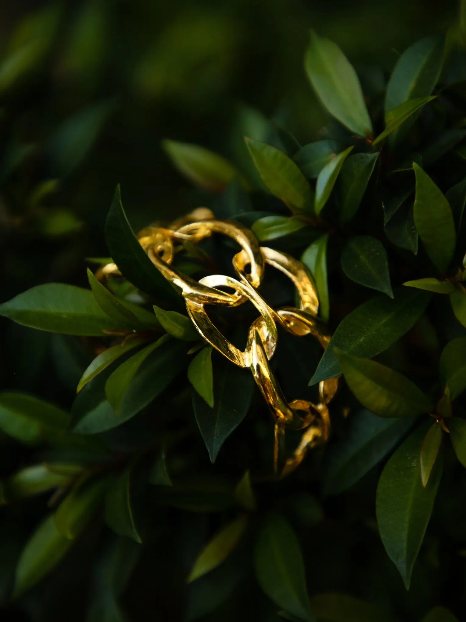 Logan Cuff