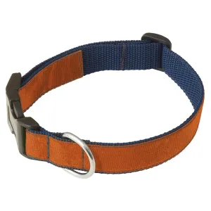 Somerville Russet - Dog Collar